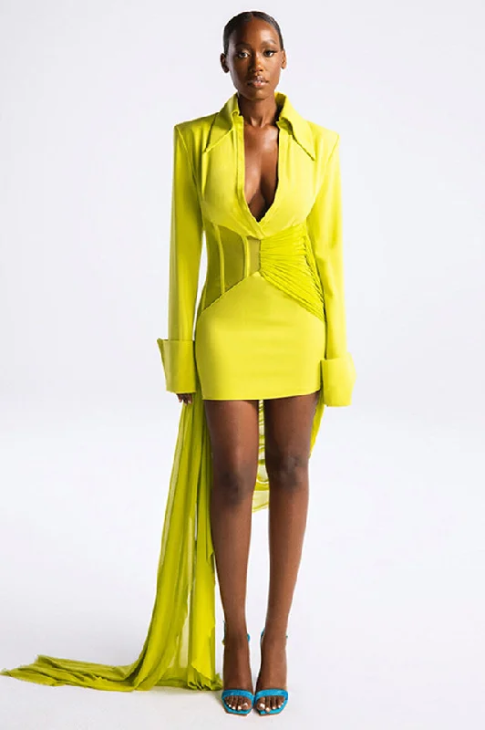Draped Mesh Corset Mini Dress Elegant Floral-Print Mini Dress